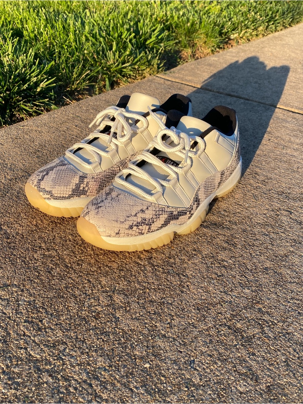 Jordan 11 Low-Top Sneakers in Beige Snake-Print and Black